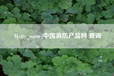 四川中国消防产品网 查询