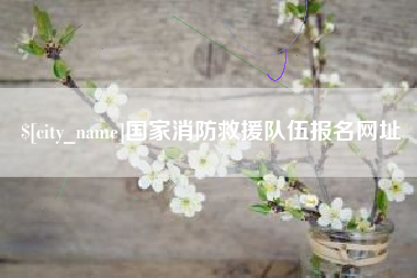 四川国家消防救援队伍报名网址