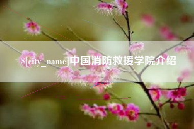 四川中国消防救援学院介绍