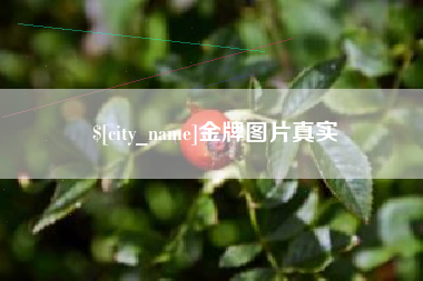 四川金牌图片真实