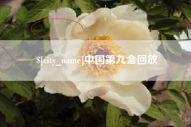 四川中国第九金回放