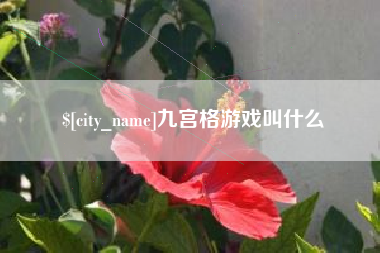 四川九宫格游戏叫什么