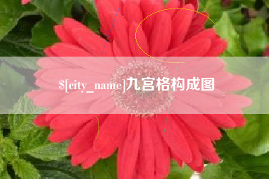 四川九宫格构成图