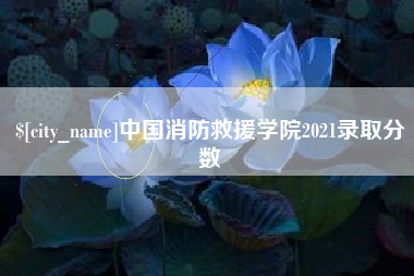 四川中国消防救援学院2021录取分数