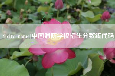 四川中国消防学校招生分数线代码