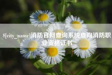 四川消防官网查询系统查询消防职业资格证书