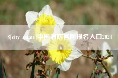 四川中国消防官网报名入口2024