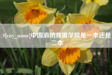 四川中国消防救援学院是一本还是二本