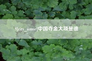 四川中国夺金大项是谁