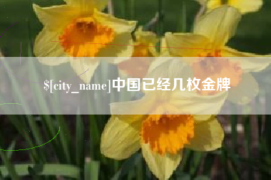 四川中国已经几枚金牌