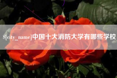 四川中国十大消防大学有哪些学校