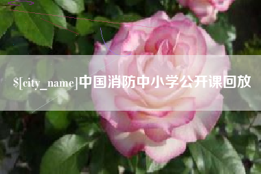四川中国消防中小学公开课回放