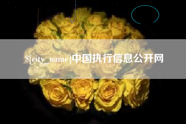 四川中国执行信息公开网