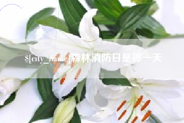 四川森林消防日是哪一天
