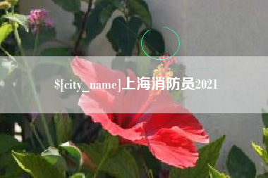 四川上海消防员2021