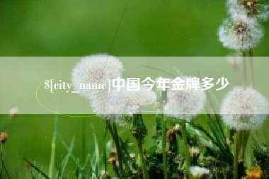 四川中国今年金牌多少