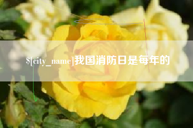 四川我国消防日是每年的