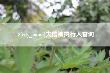 四川失信被执行人杳询