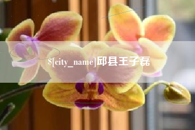 四川邱县王子磊
