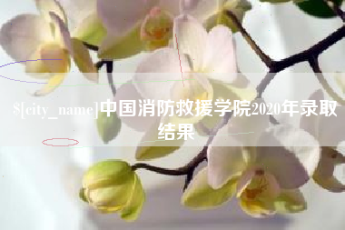 四川中国消防救援学院2020年录取结果