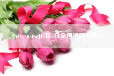 四川11月9日全国消防日图片