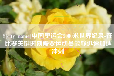 四川中国奥运会5000米世界纪录-在比赛关键时刻需要运动员能够迅速加速冲刺