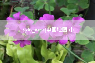 四川中国地图 市