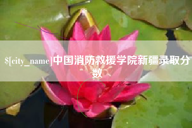 四川中国消防救援学院新疆录取分数