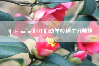 四川浙江消防学校招生分数线