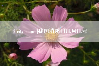 四川我国消防日几月几号
