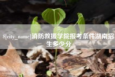 四川消防救援学院报考条件湖南招生多少分