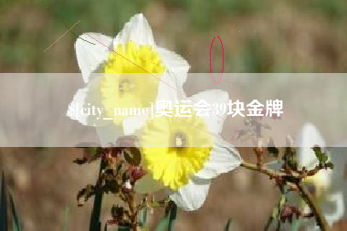 四川奥运会39块金牌
