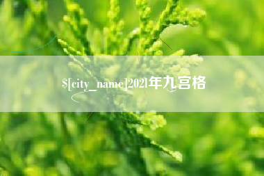 四川202l年九宫格