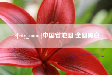 四川中国省地图 全图黑白
