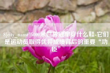 四川5000米世界冠军穿什么鞋-它们是运动员取得优异成绩背后的重要“功臣”