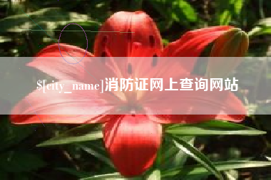 四川消防证网上查询网站
