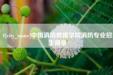 四川中国消防救援学院消防专业招生简章