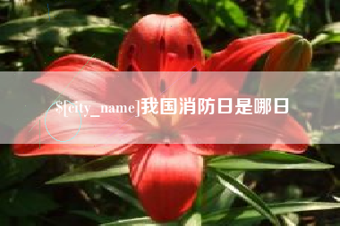 四川我国消防日是哪日