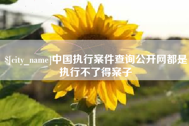 四川中国执行案件查询公开网都是执行不了得案子