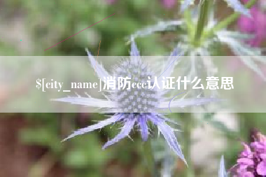 四川消防ccc认证什么意思