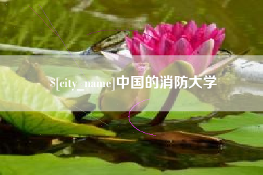 四川中国的消防大学