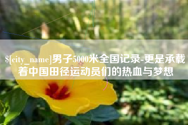 四川男子5000米全国记录-更是承载着中国田径运动员们的热血与梦想