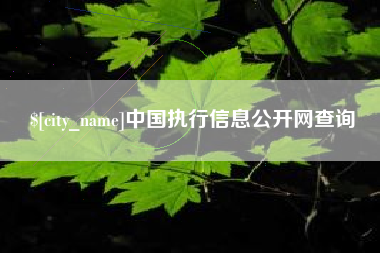 四川中国执行信息公开网查询
