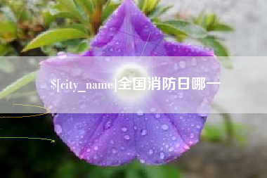 四川全国消防日哪一
