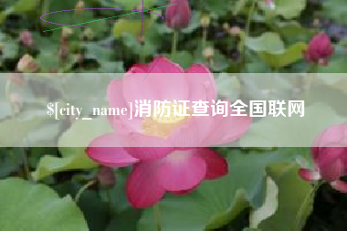 四川消防证查询全国联网