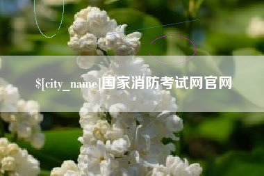 四川国家消防考试网官网