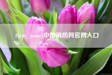 四川中国消防网官网入口