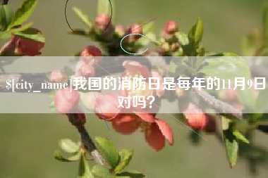 四川我国的消防日是每年的11月9日对吗？