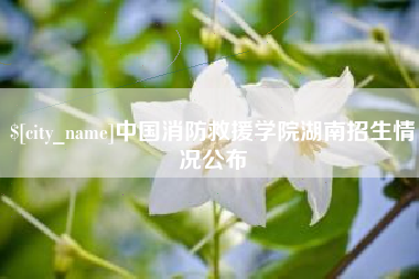 四川中国消防救援学院湖南招生情况公布