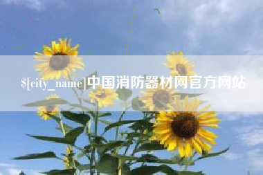 四川中国消防器材网官方网站